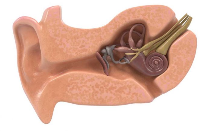 Alternatives for Middle Ear Tubes