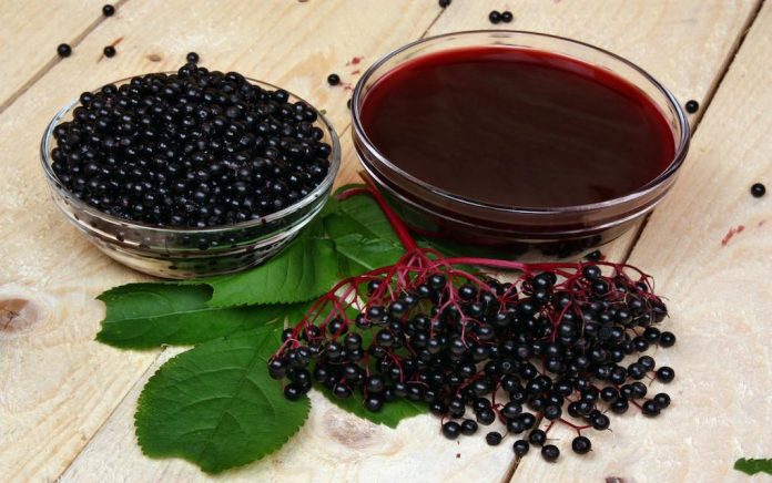 Elderberry