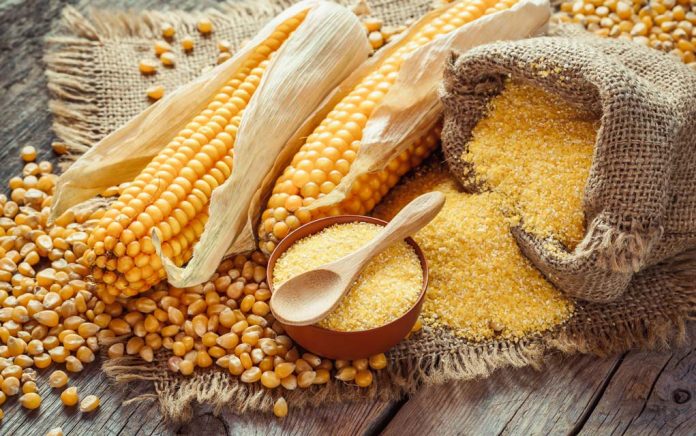 Is corn meal bad for high blood sugar?