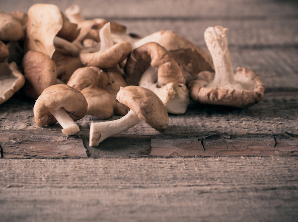 medicinal mushrooms health benefits