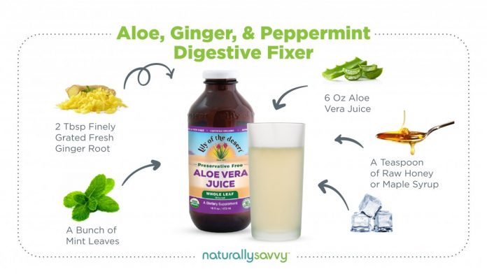 Aloe, Ginger, and Peppermint Digestive Fixer