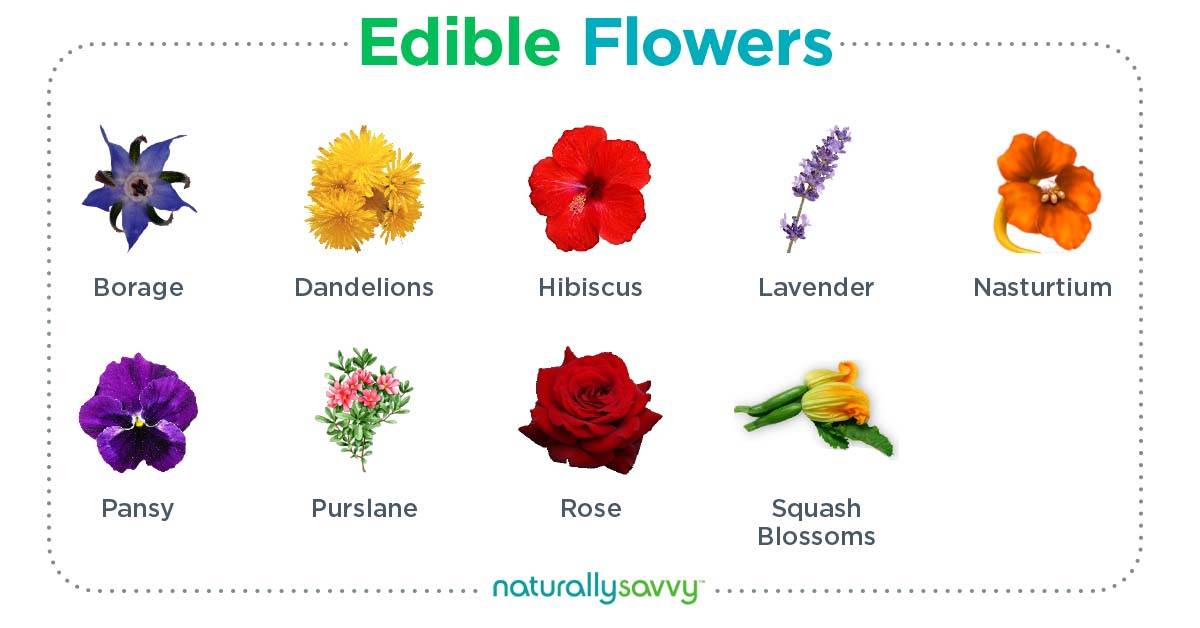 edible flowers