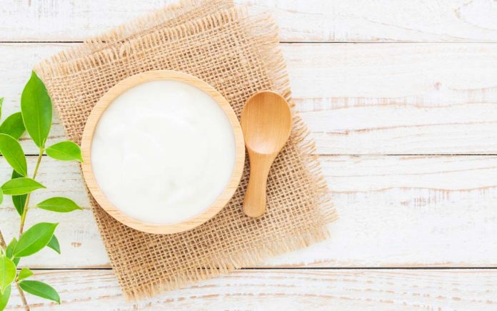 Probiotics: The Best Cure for Poor Digestion