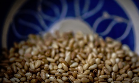 The Amazing Health Benefits of Sesame Seeds 