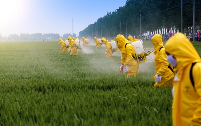 Spraying Pesticides