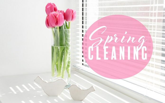 Spring Cleaning Naturally