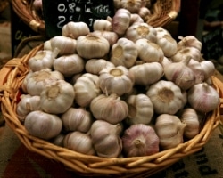 Flu Season-Get Your Garlic Out! 