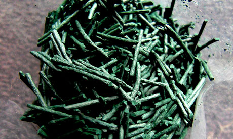 The Benefits Of Protein Rich Spirulina 