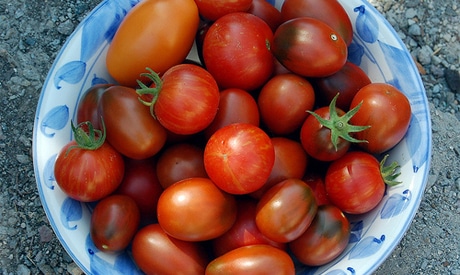 Lycopene May Lower Blood Pressure 