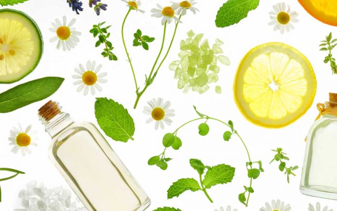 Understanding Organic Skin Care Ingredients