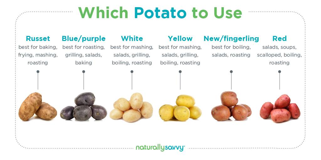 which potato to use