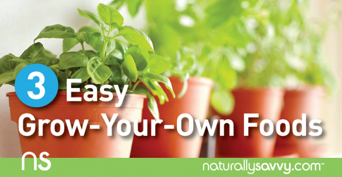 3 Easy Grow-Your-Own Foods Guaranteed to Impress Your Friends 