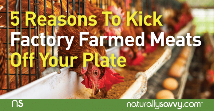 5 Reasons To Kick Factory Farmed Meats Off Your Plate 