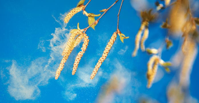 10 Easy Ways to Relieve Seasonal Allergies 