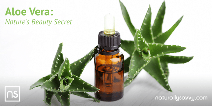 Aloe Vera: Nature’s Beauty Secret 