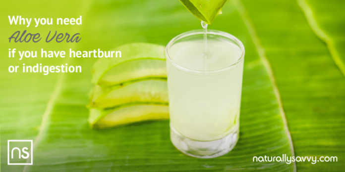 Why You Need Aloe Vera If You Have Heartburn or Indigestion 